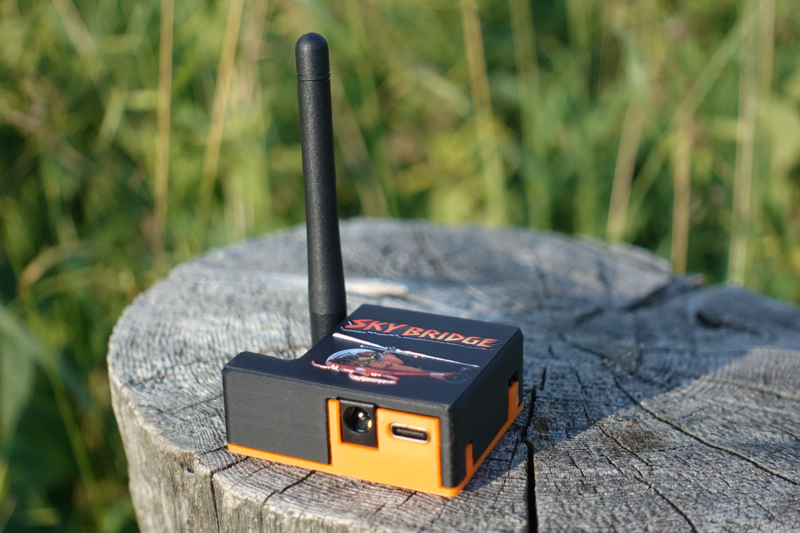 Sky Bridge on a cedar stump in golden-hour light, 9V and USB-C ports visible
